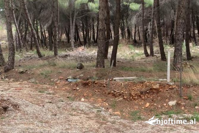 Terreno in vendita  a Alessio - 220,000 Euro