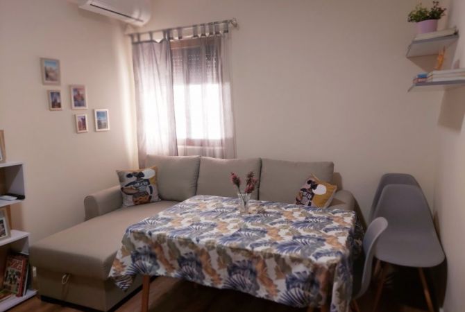Shtepi me qera Apartament ne Tirane, 1+1, Mobilimi E mobiluar, Pagesa 600  Euro.