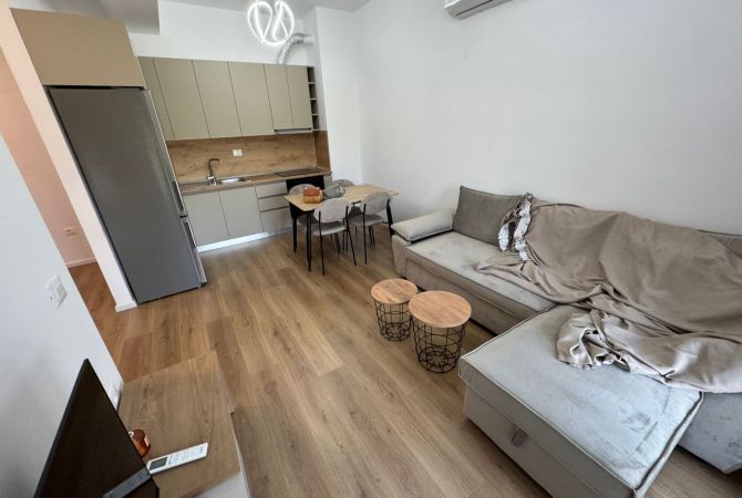 Shtepi me qera 1+1 ne Tirane - 400 Euro
