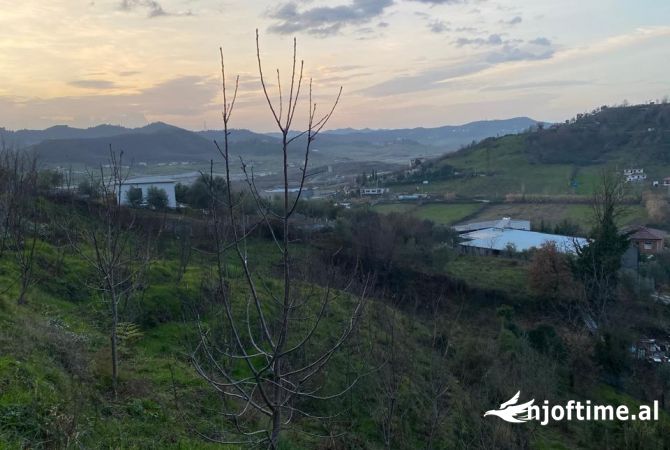 Truall ose Toke  ne Tirane - 250,000 Euro