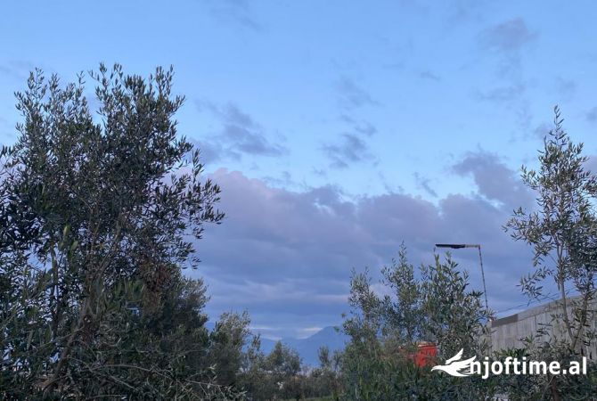 Truall ose Toke  ne Tirane - 250,000 Euro