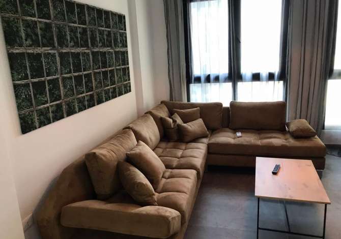 Shtepi me qera Apartament ne Tirane, 1+1, Mobilimi Pjeserisht e mobiluar, Pagesa 450  Euro.