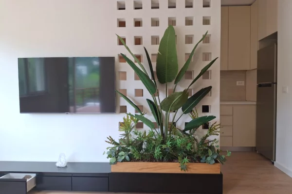 House for Rent 3+1 in Tirana - 1,100 Euro