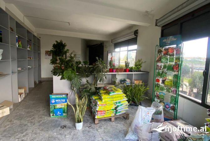 OKAZION Shitet aktivitet prodhim ,shitje lulesh dhe fidanishte