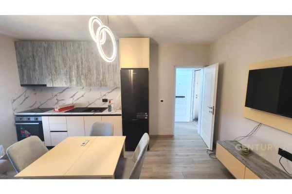 Shtepi me qera Apartament ne Tirane, 1+1, Mobilimi E mobiluar, Pagesa 480  Euro.