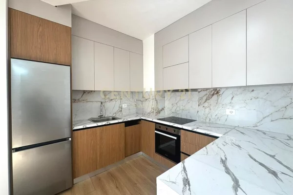 Apartment for rent in Tirana 2+1, In Part