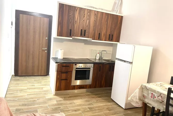 Shtepi me qera 1+1 ne Tirane - 40,000 Leke