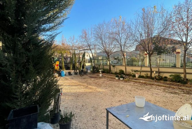 Ambjent biznesi me qera