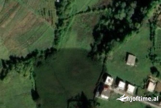 Truall ose Toke  ne Tirane - 550,000 Euro