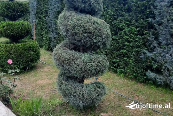 Shtepi me qera Shtepi Private ne Tirane, 4+1, Mobilimi E mobiluar, Pagesa 1,400  Euro.