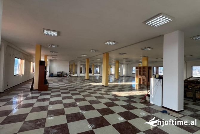 Ambient biznesi me qera 4+1 ne Tirane - 3,200 Euro