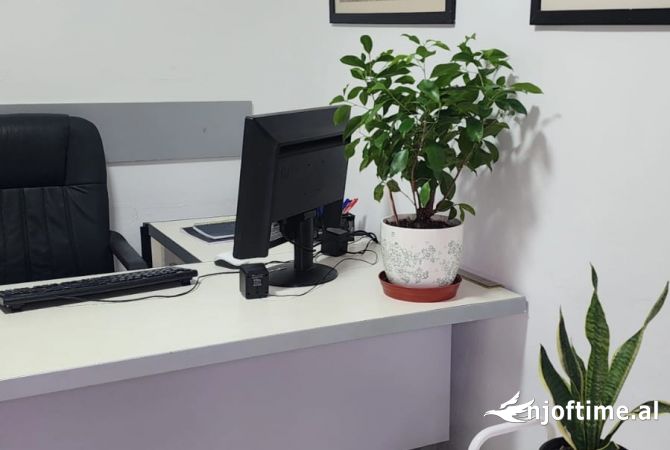 Ambient biznesi me qera 1+1 ne Tirane - 300 Euro