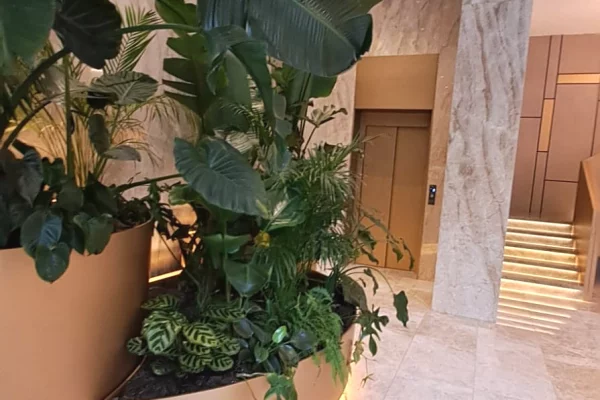 Ambient biznesi me qera 3+1 ne Tirane - 9,260 Euro