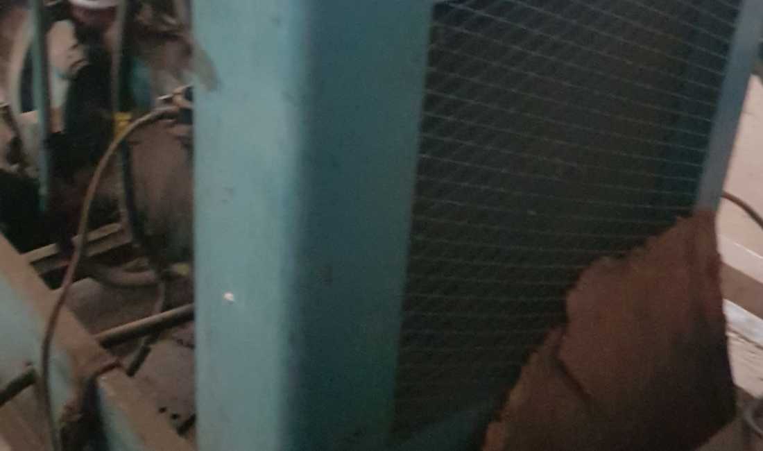 Foto 4