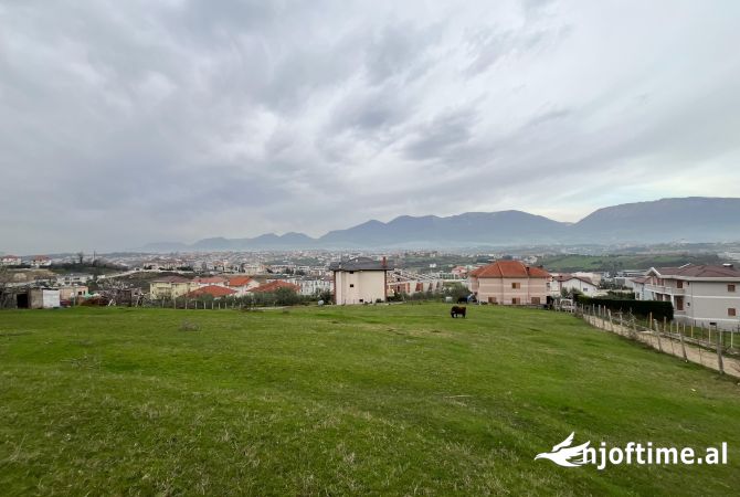 Truall ose Toke  ne Tirane - 560,000 Euro