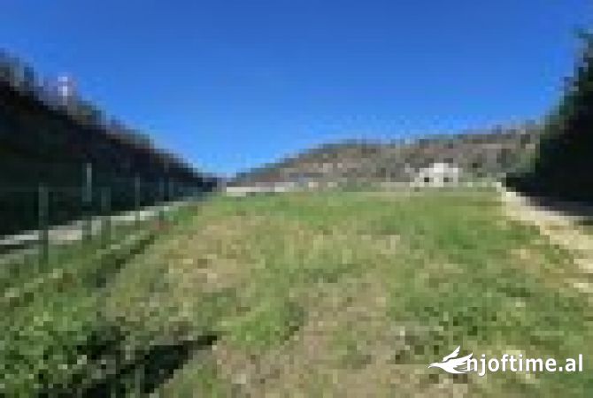 Truall ose Toke  ne Tirane - 448,000 Euro