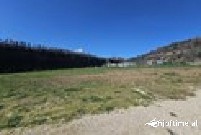 Truall ose Toke  ne Tirane - 448,000 Euro