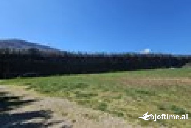Truall ose Toke  ne Tirane - 448,000 Euro
