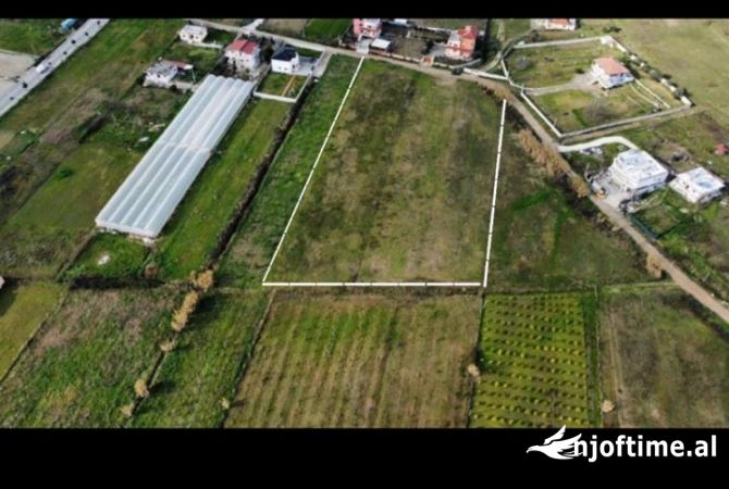 Truall ose Toke ne Tirane - 735,000 Euro