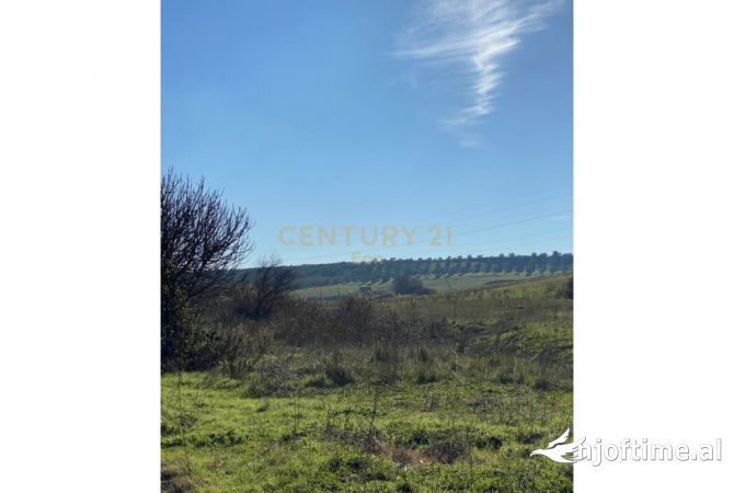 SUPER OKAZION , SHITEN KAPANONE DHE TOKE ME SIPERFAQJE 9833 M2 NE XHAFZOTAJ, DURRES! 750,000 Euro