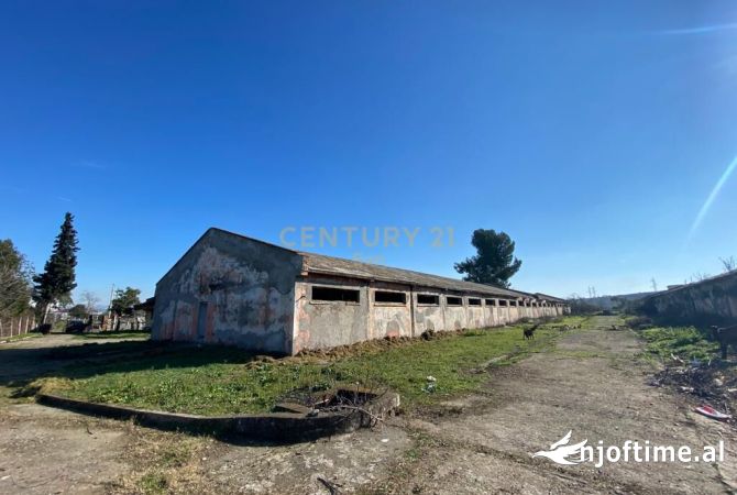 SUPER OKAZION , SHITEN KAPANONE DHE TOKE ME SIPERFAQJE 9833 M2 NE XHAFZOTAJ, DURRES! 750,000 Euro