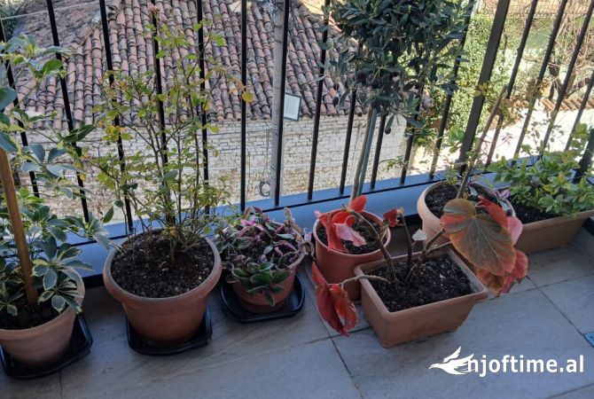 Shtepi me qera Apartament ne Tirane, 1+1, Mobilimi E mobiluar, Pagesa 550  Euro.