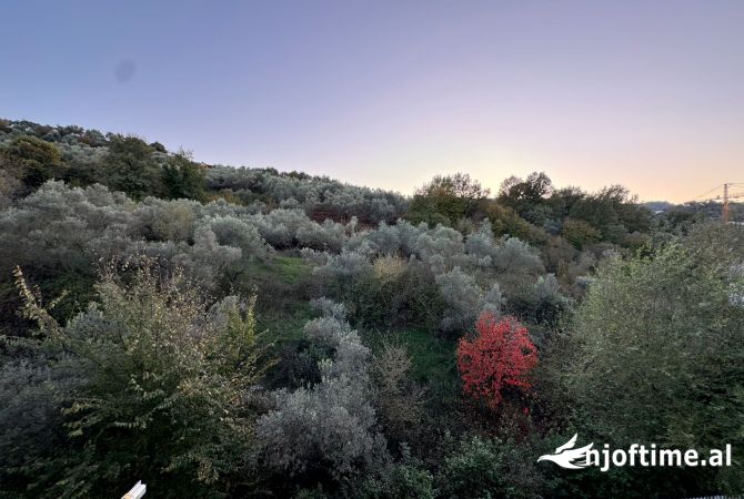 Shtepi ne shitje Apartament ne Tirane, 2+1, Mobilimi E mobiluar, Pagesa 225,000  Euro.