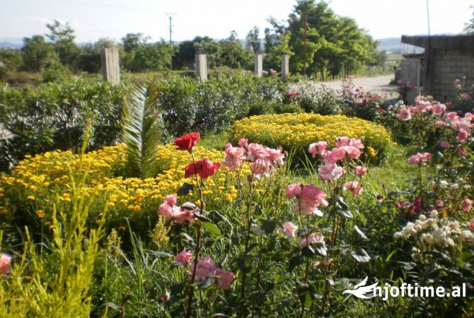 Shtepi ne shitje Vila Luksoze ne Elbasan, 6+1, Mobilimi Pjeserisht e mobiluar, Pagesa 115,000  Euro.