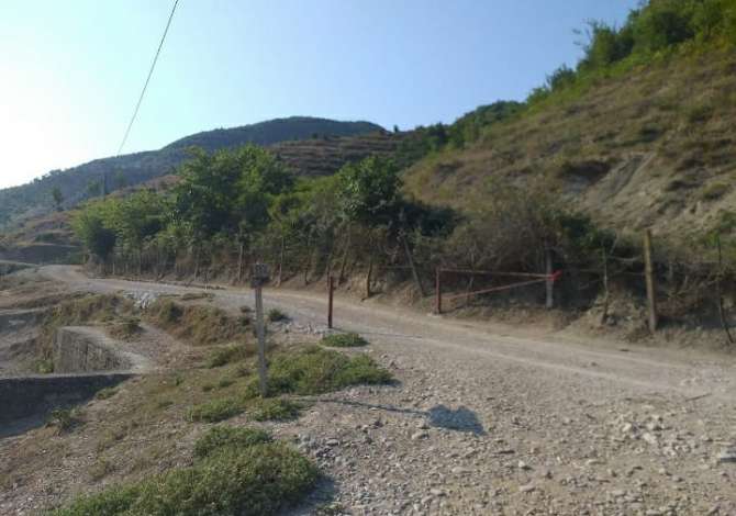 Shitet Toke .  Ne Peze Helmes. Me dokumenta te rregullta