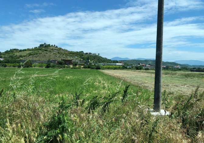 Truall ose Toke ne Tirane - 180,000 Euro