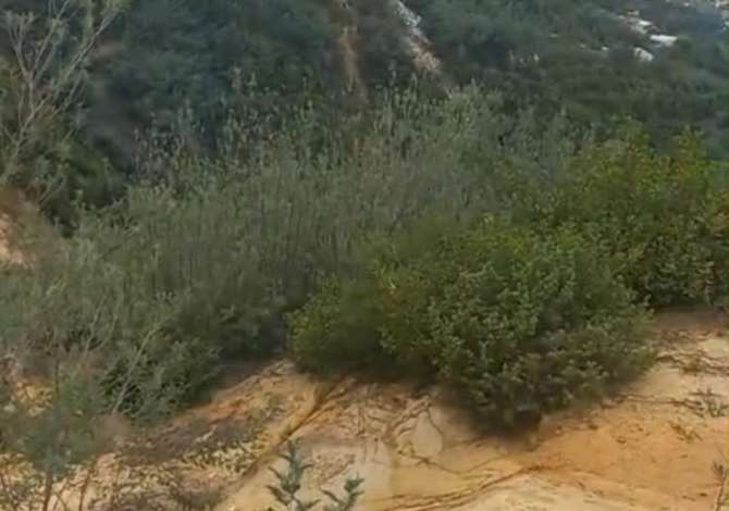 Truall ose Toke ne Tirane - 80,000 Euro