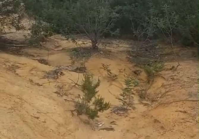 Truall ose Toke ne Tirane - 80,000 Euro