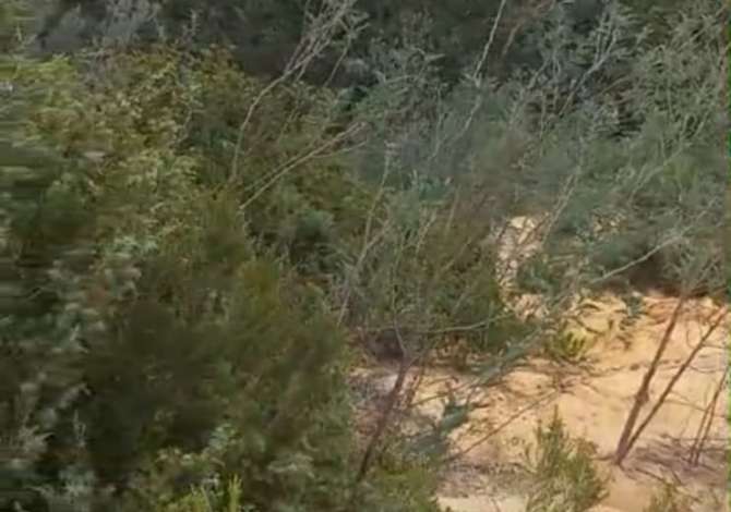 Truall ose Toke ne Tirane - 80,000 Euro