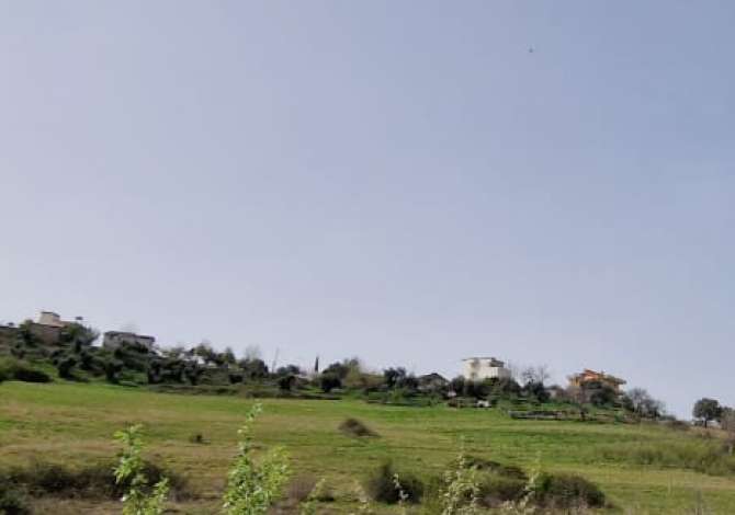 Truall ose Toke ne Tirane - 1,950,000 Euro