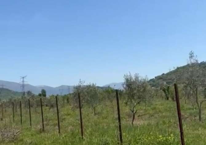 Truall ose Toke ne Tirane - 240,000 Euro