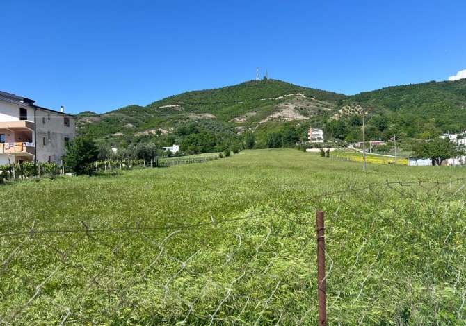 Truall ose Toke ne Tirane - 720,000 Euro