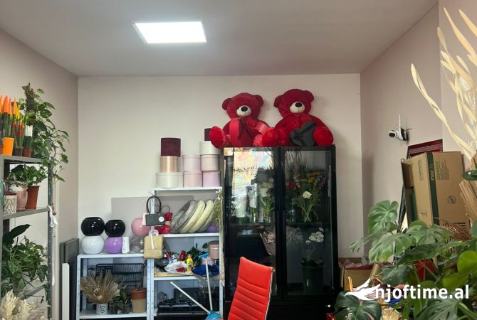 Ambient biznesi me qera 1+1 ne Tirane - 700 Euro