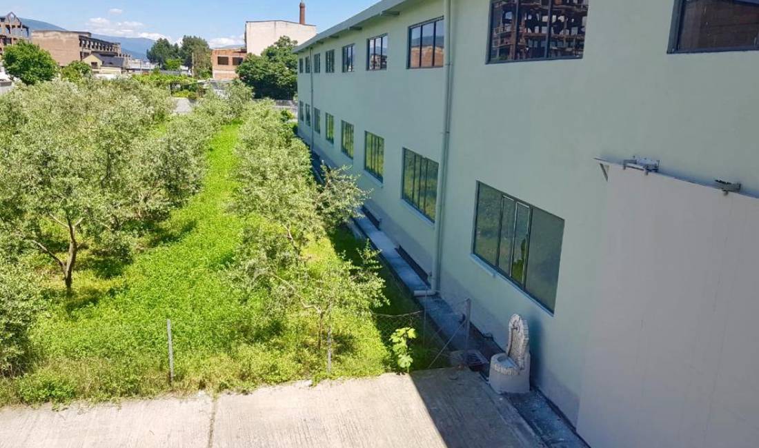 Foto 2