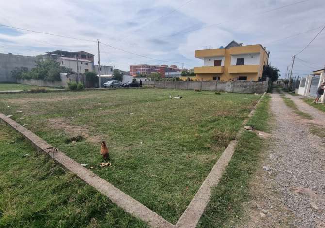Truall ose Toke ne Tirane - 40,000 Euro