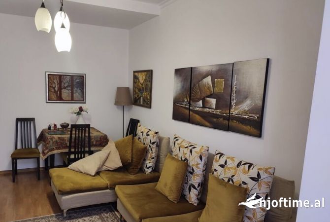 Shtepi me qera 1+1 ne Tirane - 480 Euro