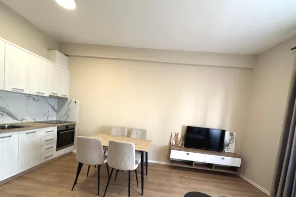 Shtepi me qera 1+1 ne Tirane - 600 Euro