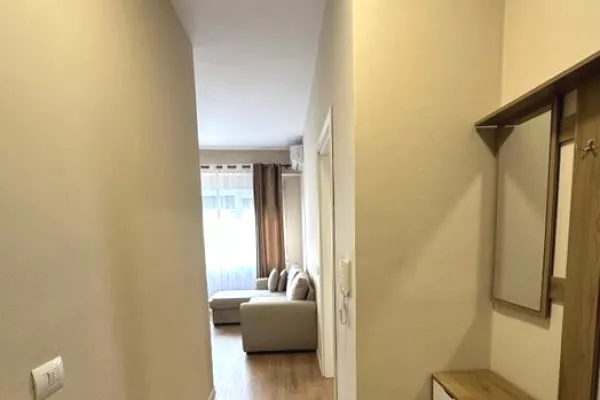 Shtepi me qera Apartament ne Tirane, 1+1, Mobilimi E mobiluar, Pagesa 600  Euro.