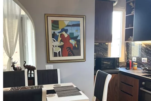 Apartment for rent in Tirana 1+1, Furnished