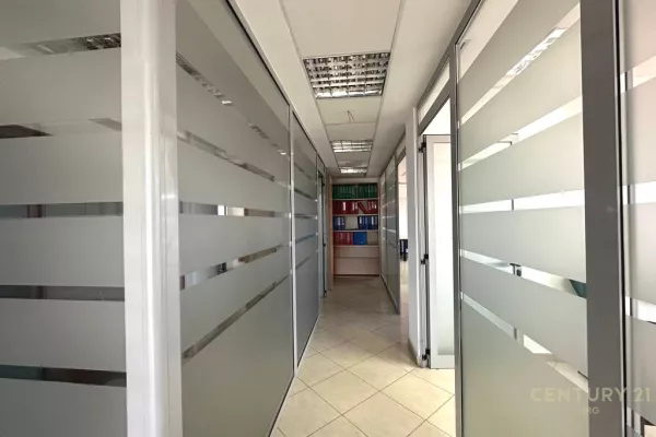 Ambient Zyre tek kullat Binjake 