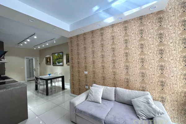 Shtepi ne shitje 1+1 ne Tirane - 700,000 Euro