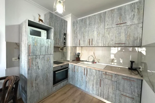 Apartment for rent in Tirana 1+1, Furnished