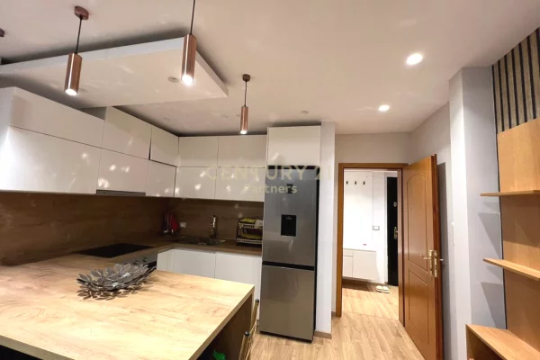 Apartment for rent in Tirana 1+1, Furnished