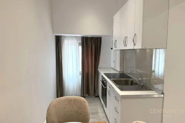 Shtepi me qera 1+1 ne Tirane - 400 Euro