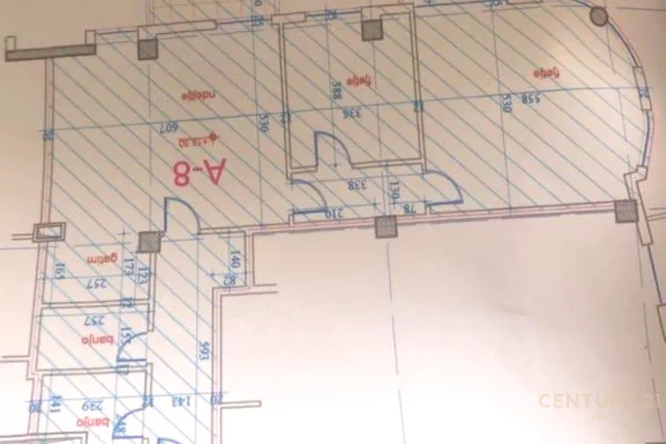 Business Property for Rent 3+1 in Tirana - 2,000 Euro