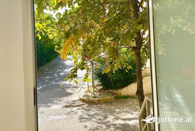 Ambiente Commerciale in Affitto 1+1 a Tirana - 300 Euro